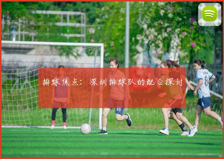 排球焦点：深圳排球队的配合探讨