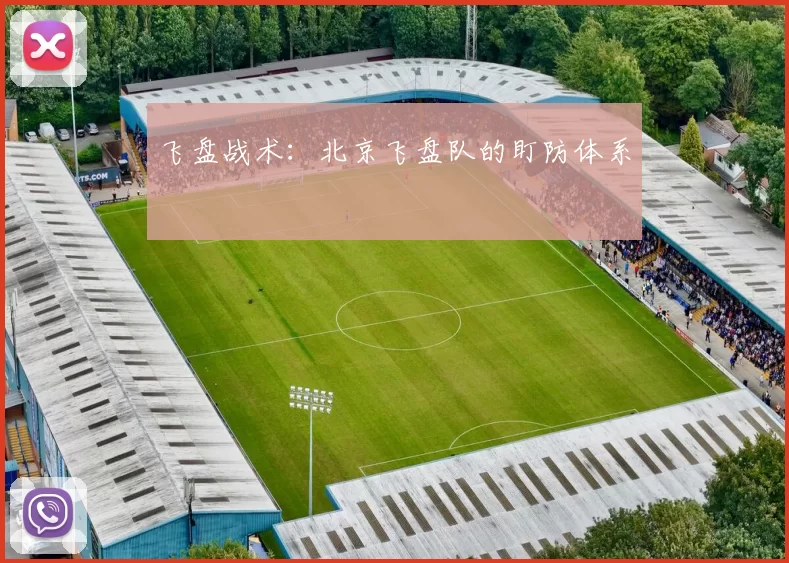 飞盘战术：北京飞盘队的盯防体系