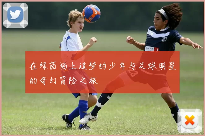 在绿茵场上追梦的少年与足球明星的奇幻冒险之旅