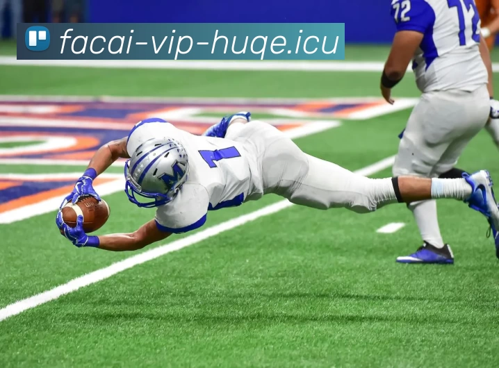 米兰体育平台生态图