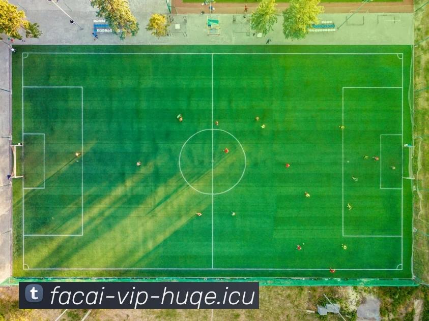 米兰体育APP 封面图